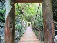 -牛背梁国家森林公园