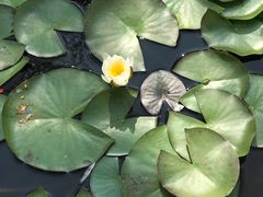 -武清南湖绿博园