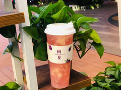 -树夏(鹭洲里店)