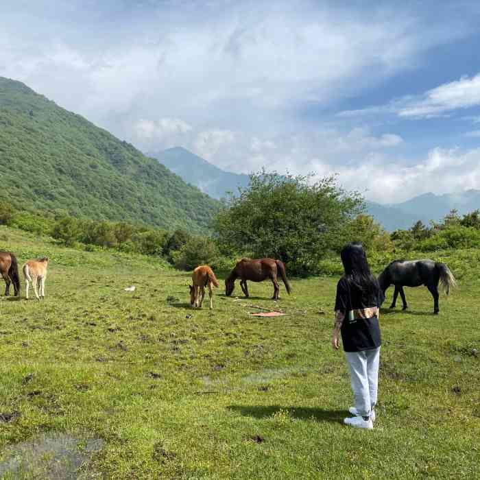 汶川开心牧场-"自驾从汶川上山差不多两小时左右,一路山路.