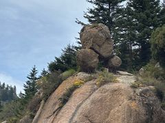 -芦芽山旅游度假区