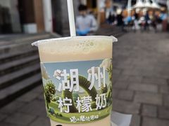 -猫的魔法密林(衣裳街店)
