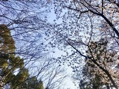 -长广溪湿地公园
