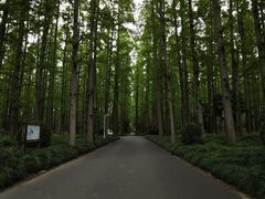 -上海怡沁园度假酒店