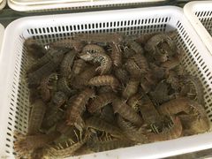 -红月湾海鲜饭店•沙滩海景(双月湾店)