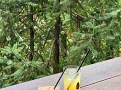 -玉苍山国家森林公园