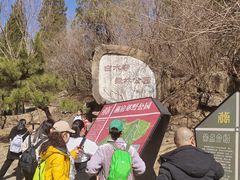 -白水寺森林公园