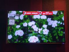 -唱吧麦颂KTV(松江五龙商业广场店)