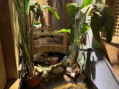 -邈墨茶馆(凤起路店)