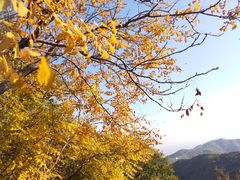 -香山公园-东宫门售票处