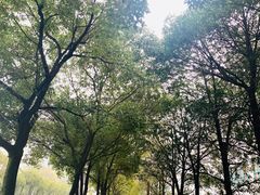 -庐山西海主景区
