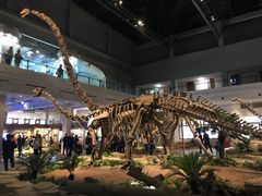 -自贡恐龙博物馆