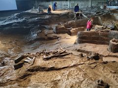 -自贡恐龙博物馆