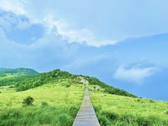 -白草畔自然风景区