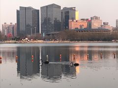 -莲花池公园