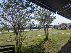 -七的湖·晚芳亭·阳澄湖农家菜·大闸蟹(莲花岛店)