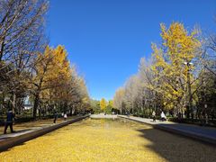 -玲珑塔公园