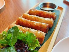 经典炸春卷-SUSU·小苏苏(国贸商城店)