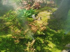 -上海植物园-4号门售票处