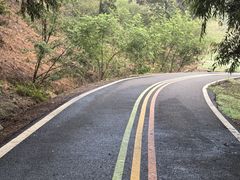 -宜兴龙背山森林公园
