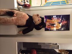 iphone_upload_pic-济州岛泰迪熊博物馆