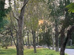 -棒棰岛宾馆景区