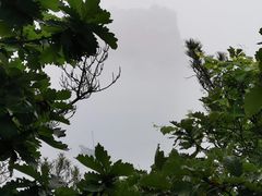 -棒棰岛宾馆景区