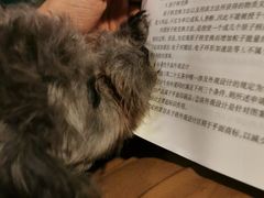 -默迹咖啡馆