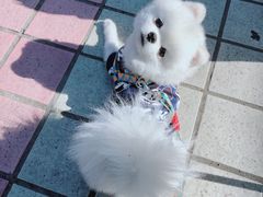 -麻雀咖啡SPARROW COFFEE(十全街店)