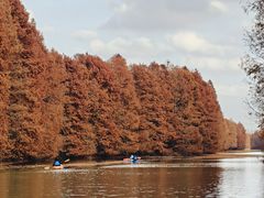 -上海海湾国家森林公园