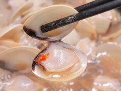 -顺德哥卜卜贝(旗舰店)