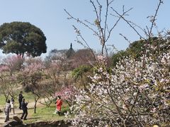 -无锡梅园公园