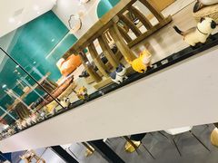 -飞行喵MR PILOT|猫舍·猫咖(静安大融城店)