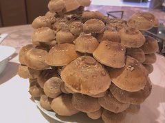 活体松香菇-捞神汤物料理(正大广场店)