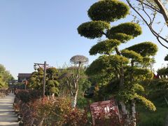 -武汉紫薇都市田园