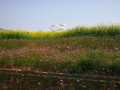 -光明小镇欢乐田园