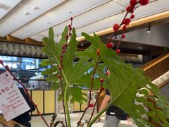 -陈熹公民族美食文化餐厅(中华广场店)