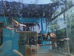 -秦皇岛野生动物园