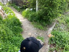 -小鱼草莓采摘园农家乐·小鱼餐厅