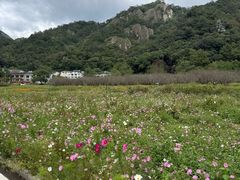 -雁荡山风景名胜区