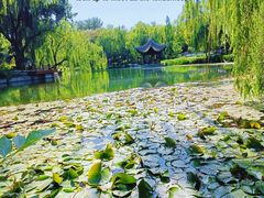 -陶然亭公园