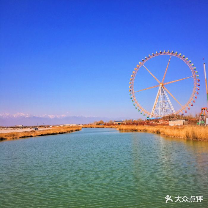 阅海欢乐岛图片