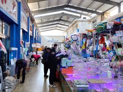 -山东柏宁水族批发广场