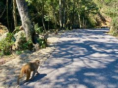 -姑婆山旅游区
