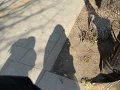 -景福宫