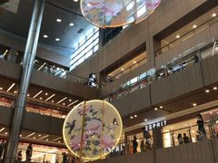 -爱雍·乌节
