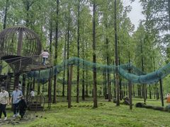 -黄海国家森林公园