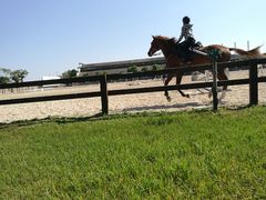 -松声马术俱乐部