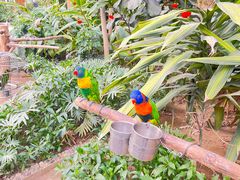 -南宫五洲植物乐园