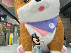 -新光里